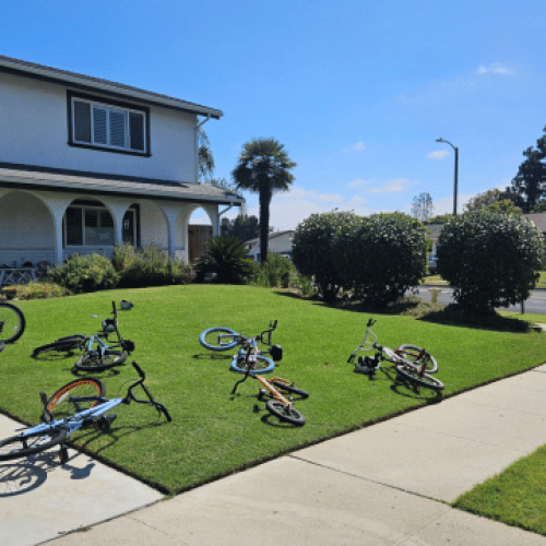 Freshly Mowed Front Lawn With Kids Bikes On It