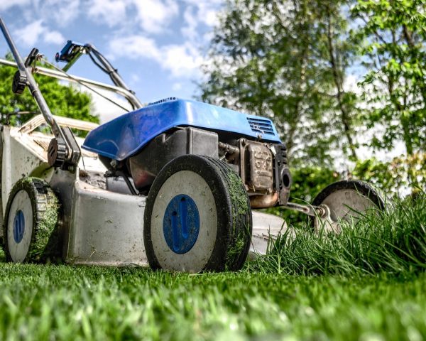 lawn mower, grass, garden, front yard, gardening, lawn-mower chassis, lawn, cutting, gardener, equipment, machine, nature, backyard, mower, maintenance, yard