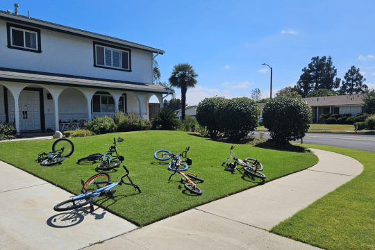 Freshly Mowed Front Lawn With Kids Bikes On It